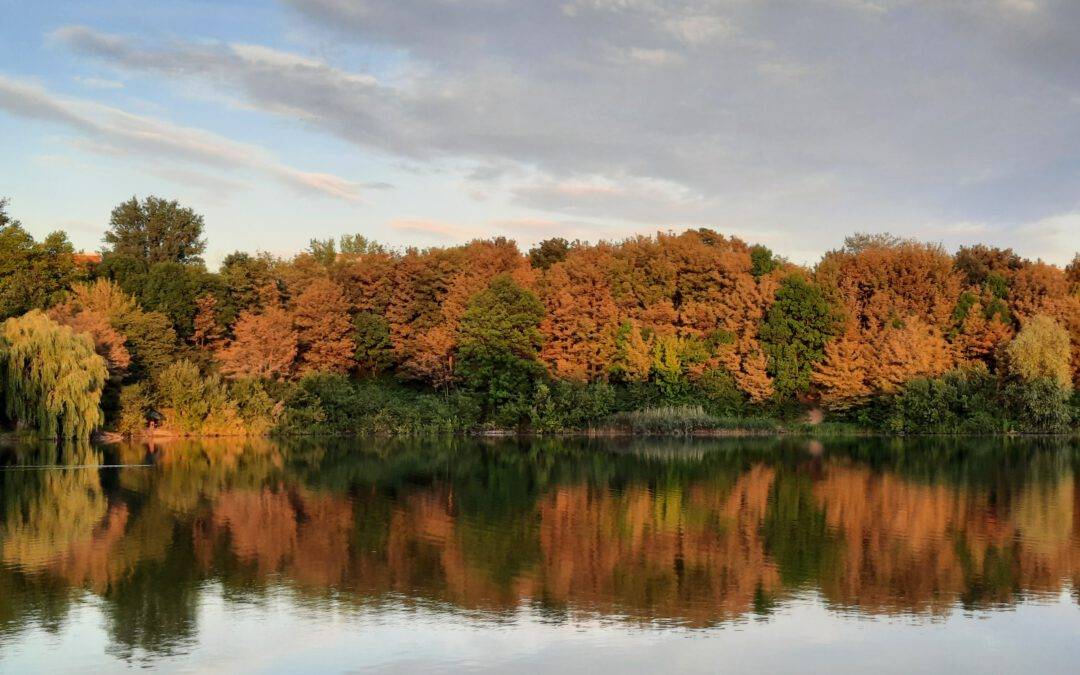 Plätze frei! Qigong online – TaijiQigong Satz 7