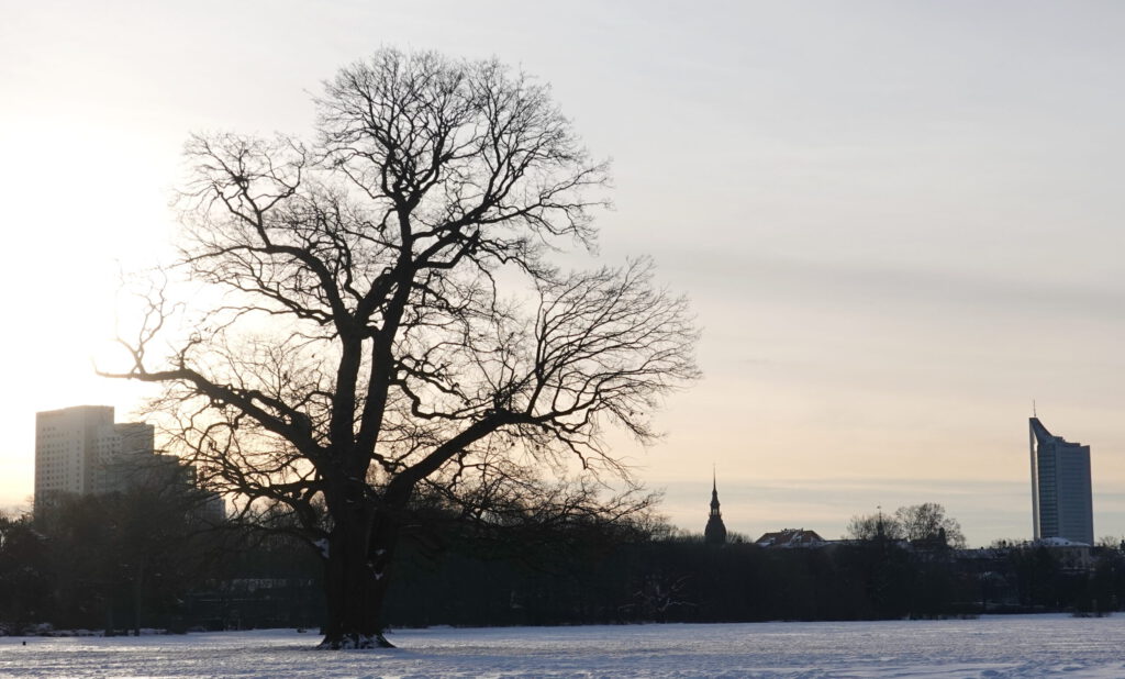 Baum am Teich_Winter_Rosentalwiese