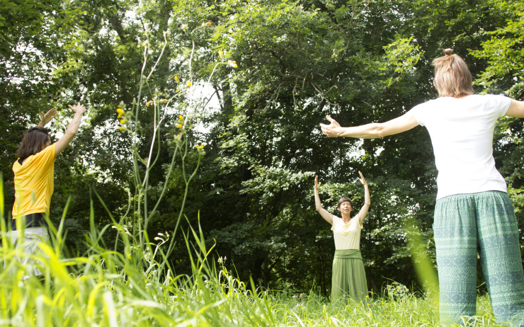 Qigong im Herbst im Park u. im Rosental