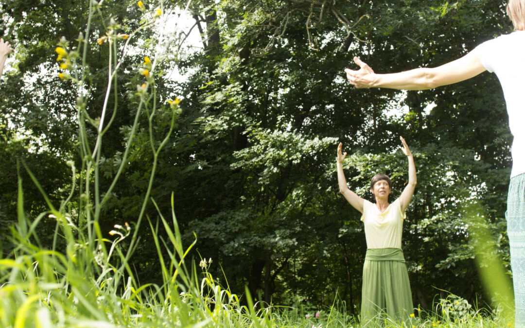 Qigong im Herbst im Park u. im Rosental